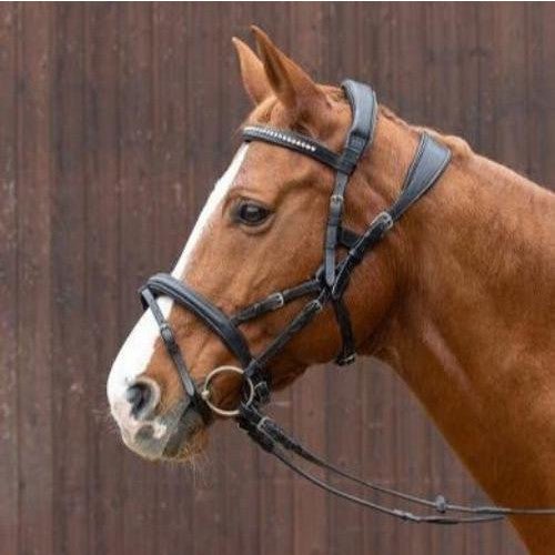 NeXaver Leder Trensenzaum Kombiniert - IQ Horse