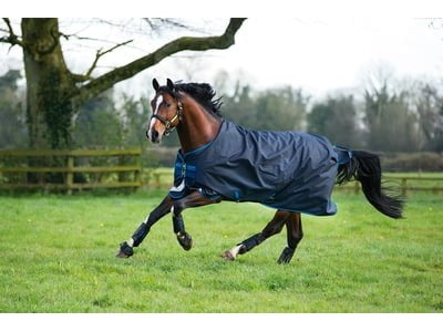 Horseware Amigo Bravo - 12 Turnout, 100g, Navy - IQ Horse