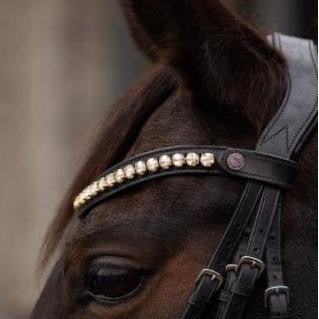 Kandare CHARM - IQ Horse