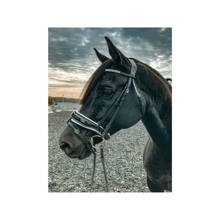 IQ Horse Trensenzaum "Fabergé" anatomisch, abn. Sperrriemen, schwedisch, franz. Haken, Lack, weiß unterlegt - IQ Horse