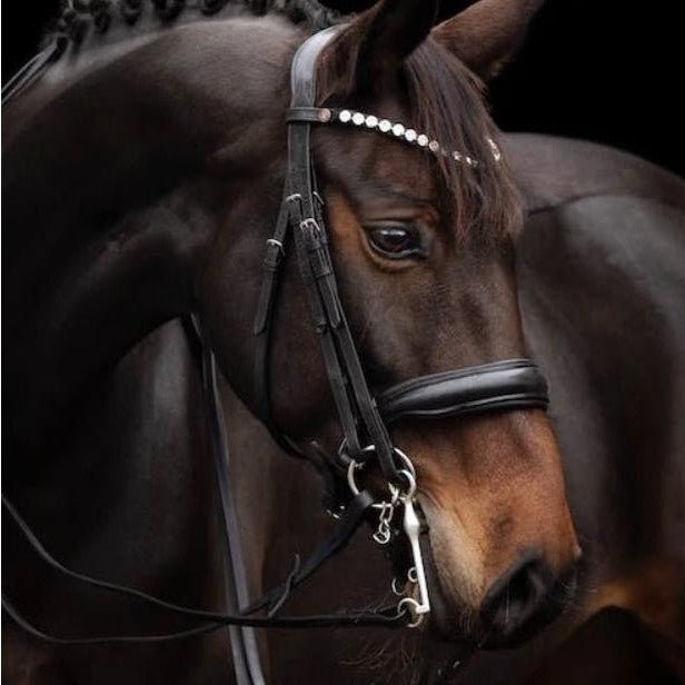 Kandare CHARM - IQ Horse