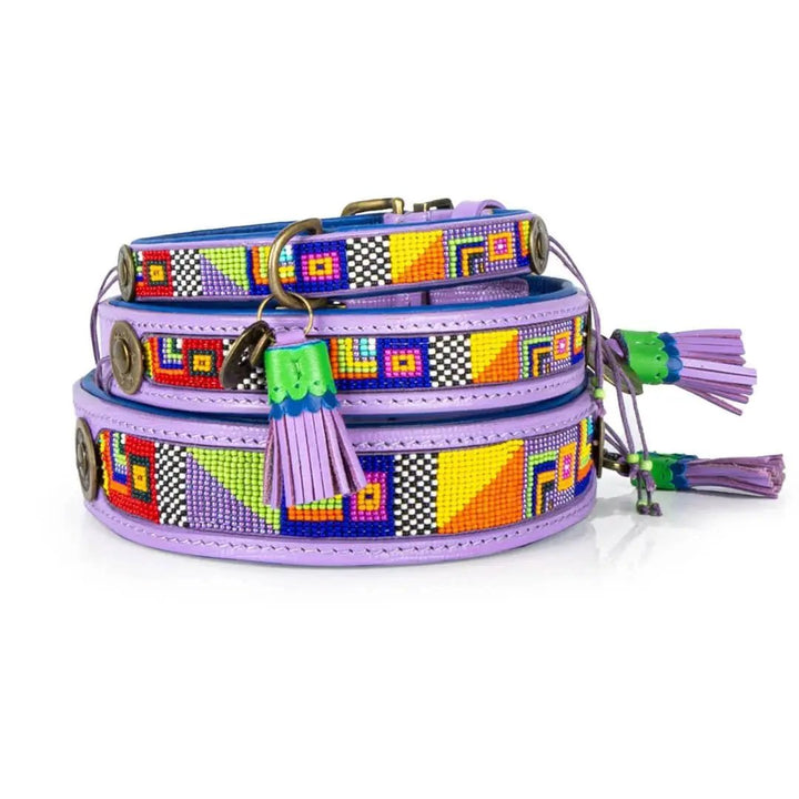 Dog with a Mission – Halsband ColorPop – bunt &amp; stylish - IQ Horse