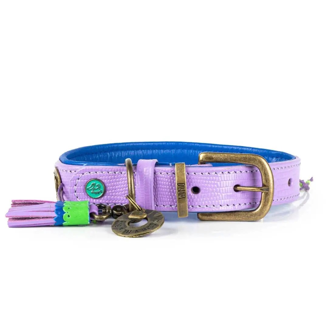 Dog with a Mission – Halsband ColorPop – bunt &amp; stylish - IQ Horse