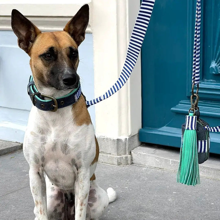 Dog with a mission - Hundeleine MR CRUISE - IQ Horse