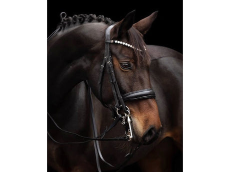 Bridlery Kandare Charm - IQ Horse