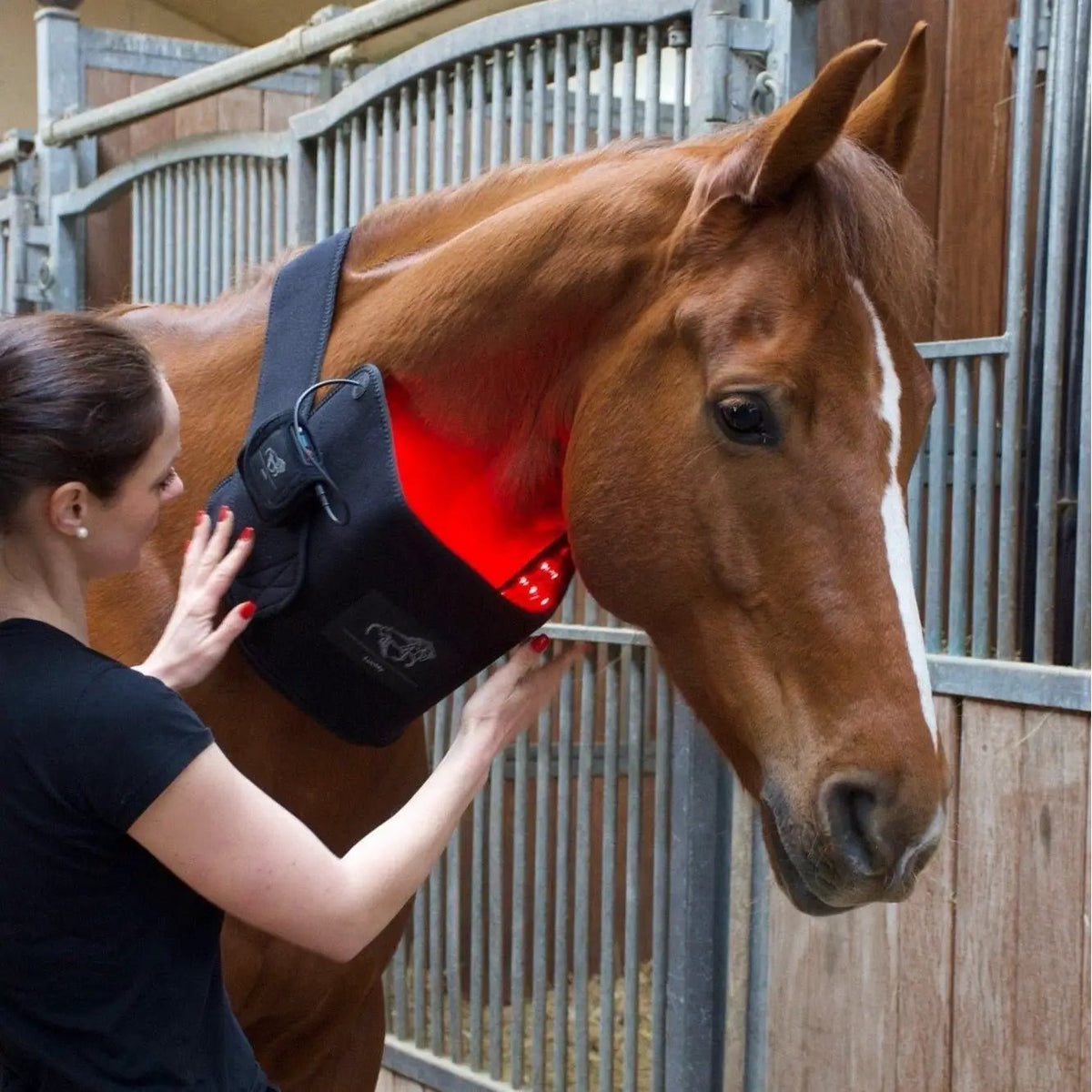 LuxMy M - Lichttherapie - Pad - IQ Horse