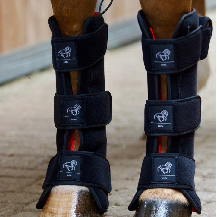 LuxMy Lichttherapie Gamaschen Set, Hoch - IQ Horse