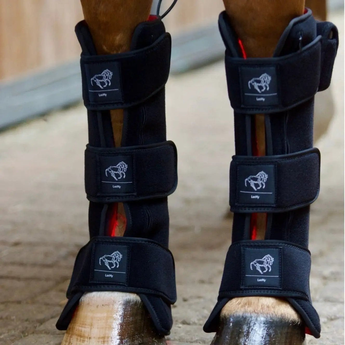 LuxMy Set – Sorglos (Decke / Gamaschen Hoch) - Option 2 - IQ Horse