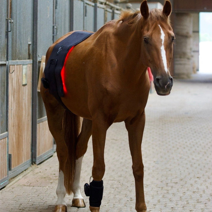 LuxMy Set – Starter (S-Pad + L-Pad) - IQ Horse