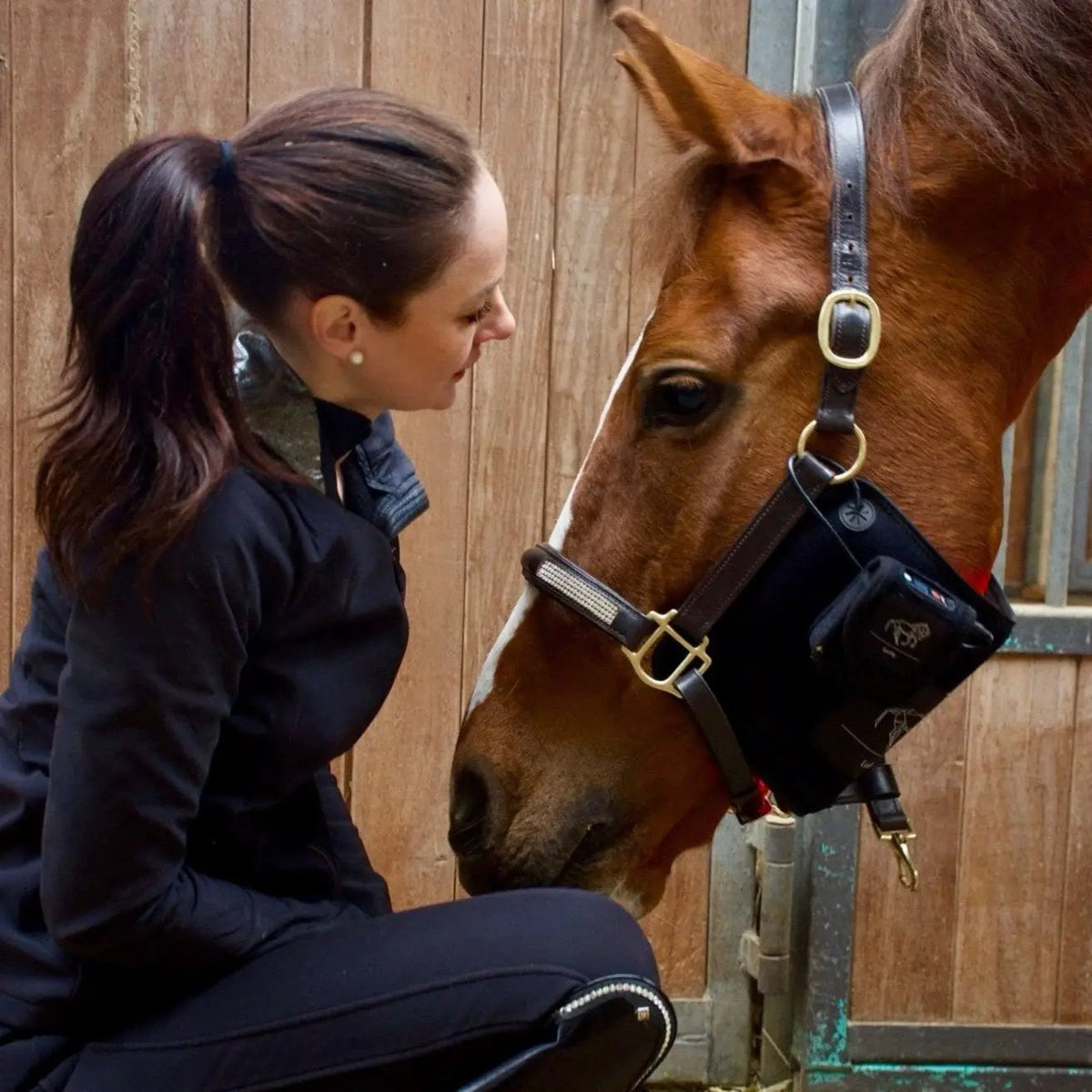 LuxMy S - Lichttherapie - Pad - IQ Horse