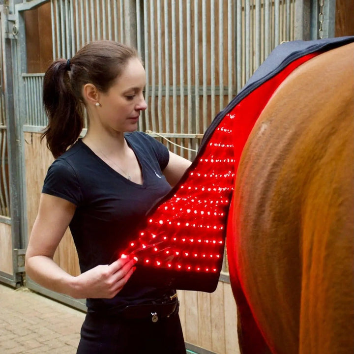 LuxMy L - Lichttherapie - Pad - IQ Horse