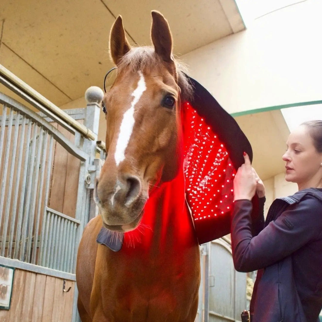 LuxMy XL - Lichttherapie - Pad - IQ Horse