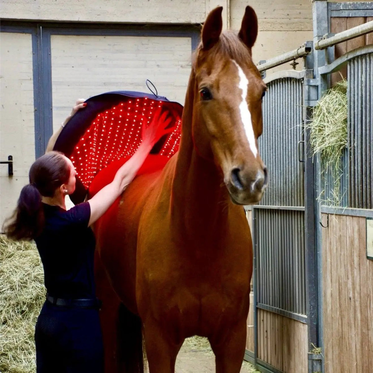 LuxMy XL - Lichttherapie - Pad - IQ Horse