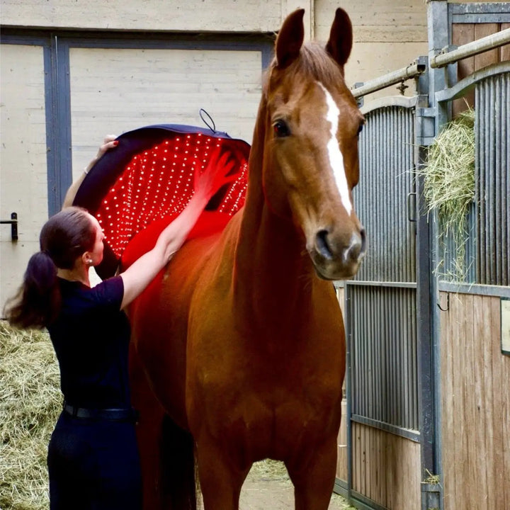 LuxMy XL - Lichttherapie - Pad - IQ Horse