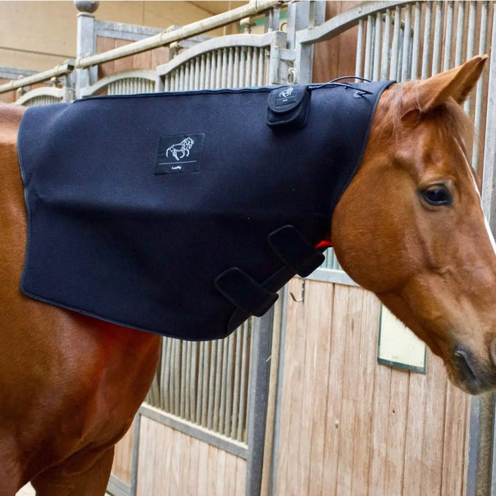 LuxMy XL - Lichttherapie - Pad - IQ Horse