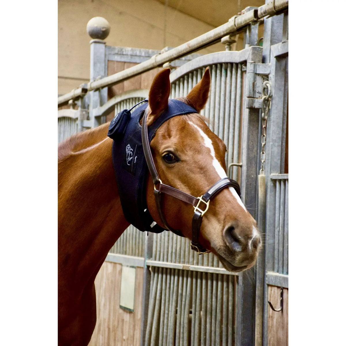 LuxMy Lichttherapie - Genick Pad - IQ Horse