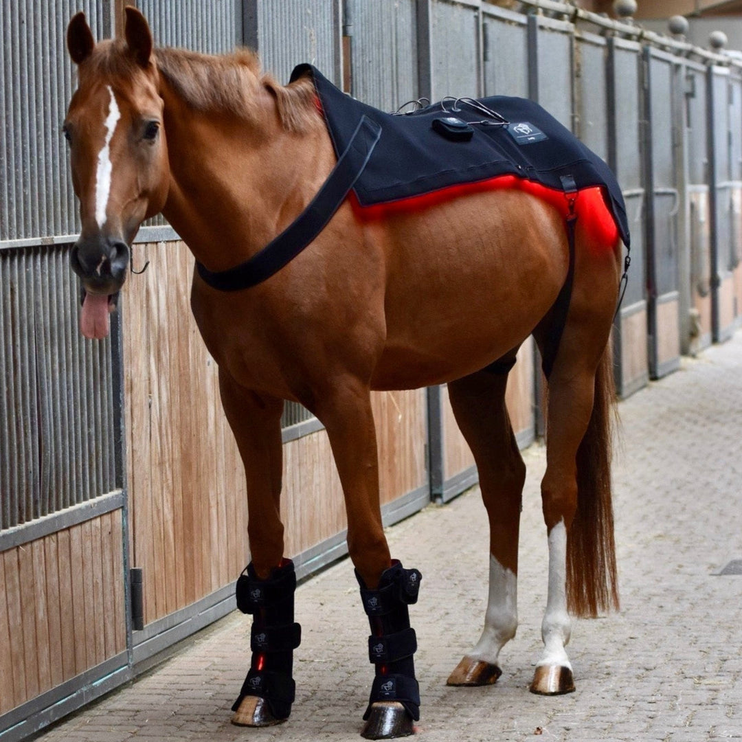 LuxMy Set – Sorglos (Decke / Gamaschen Hoch) - Option 2 - IQ Horse