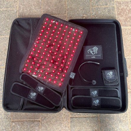 LuxMy Pferdetherapie - Lichttherapie