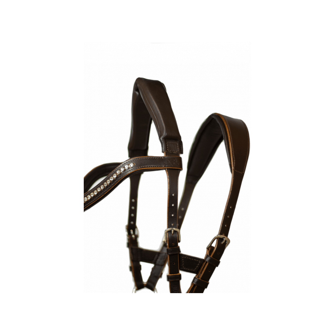 NeXaver Leder Trensenzaum Kombiniert - IQ Horse