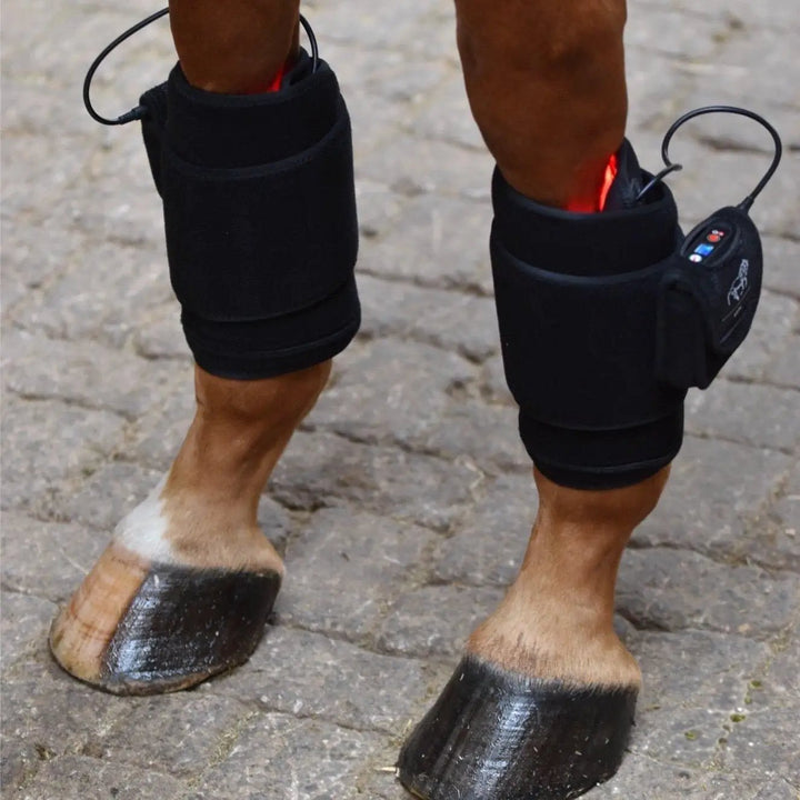 LuxMy Set – Sorglos (Decke / Gamaschen Tief) - Option 1 - IQ Horse
