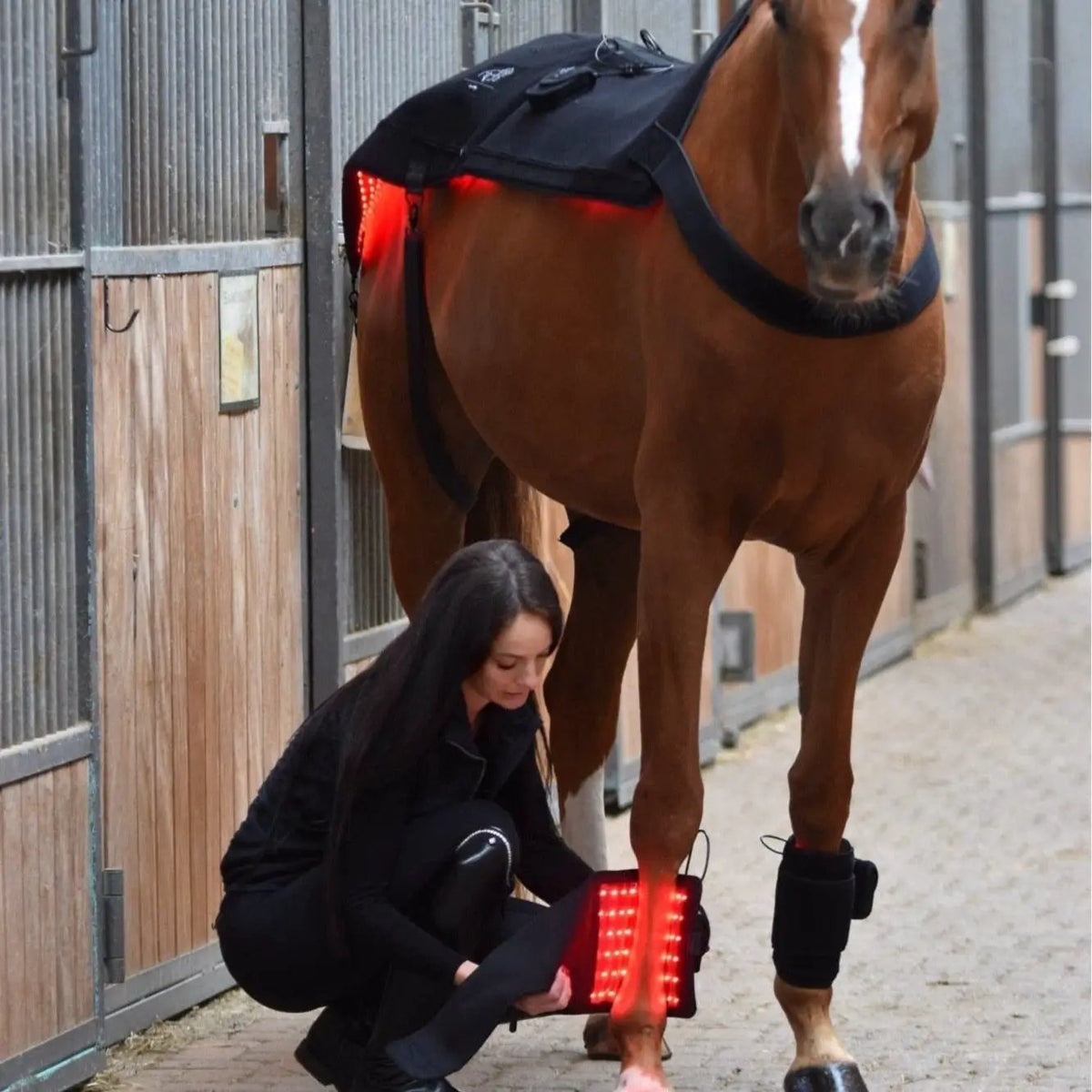 LuxMy Set – Sorglos (Decke / Gamaschen Tief) - Option 1 - IQ Horse
