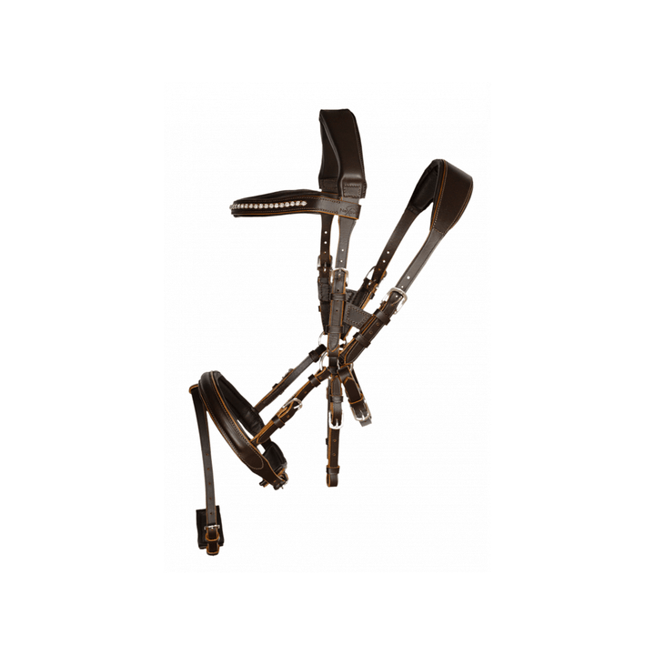 NeXaver Leder Trensenzaum Kombiniert - IQ Horse