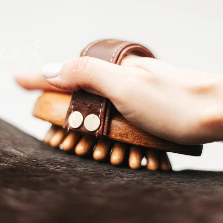 Equimour Massage - Striegel CORNET - IQ Horse