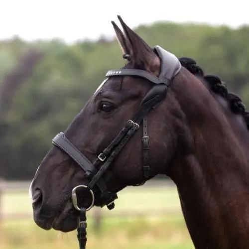 NeXaver SMART Leder Trensenzaum - IQ Horse