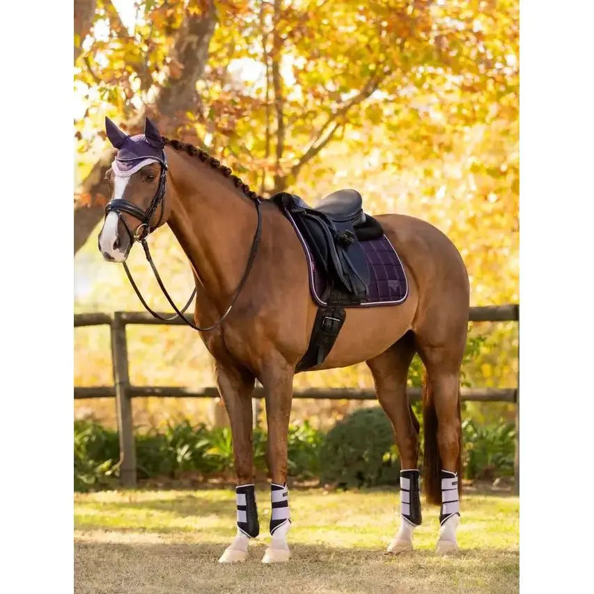LeMieux Merino+ Loire Classic Dressurschabracke Juniper AW25 - IQ Horse