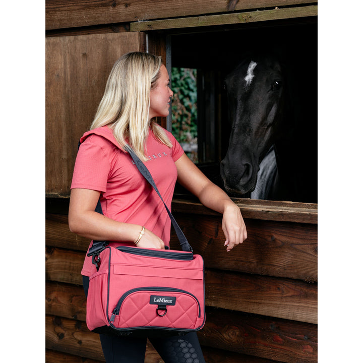 LeMieux ProKit Lite Putzzeugtasche