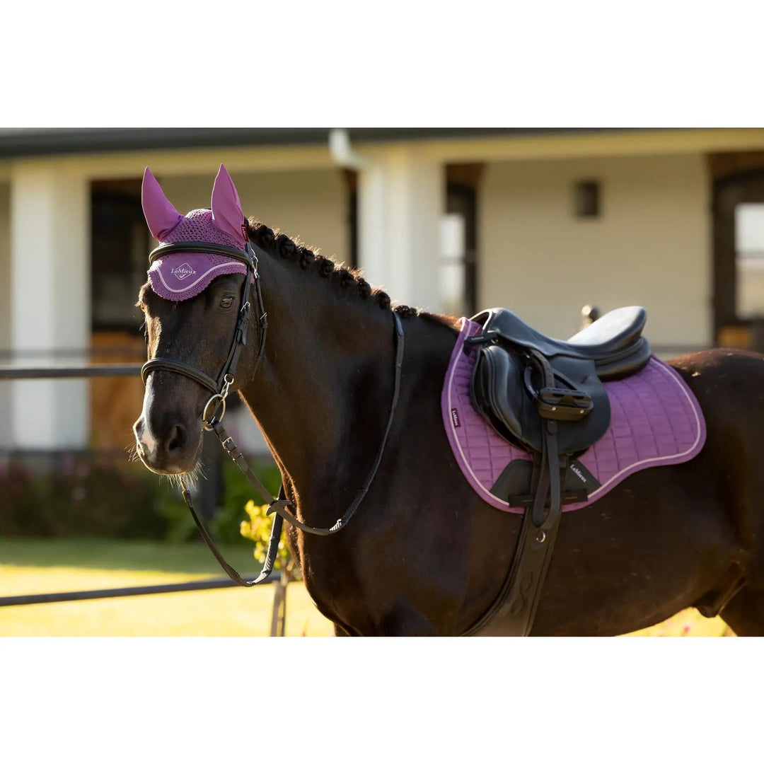 LeMieux Classic Fliegenhaube – gehäkelte Fliegenhaube - IQ Horse