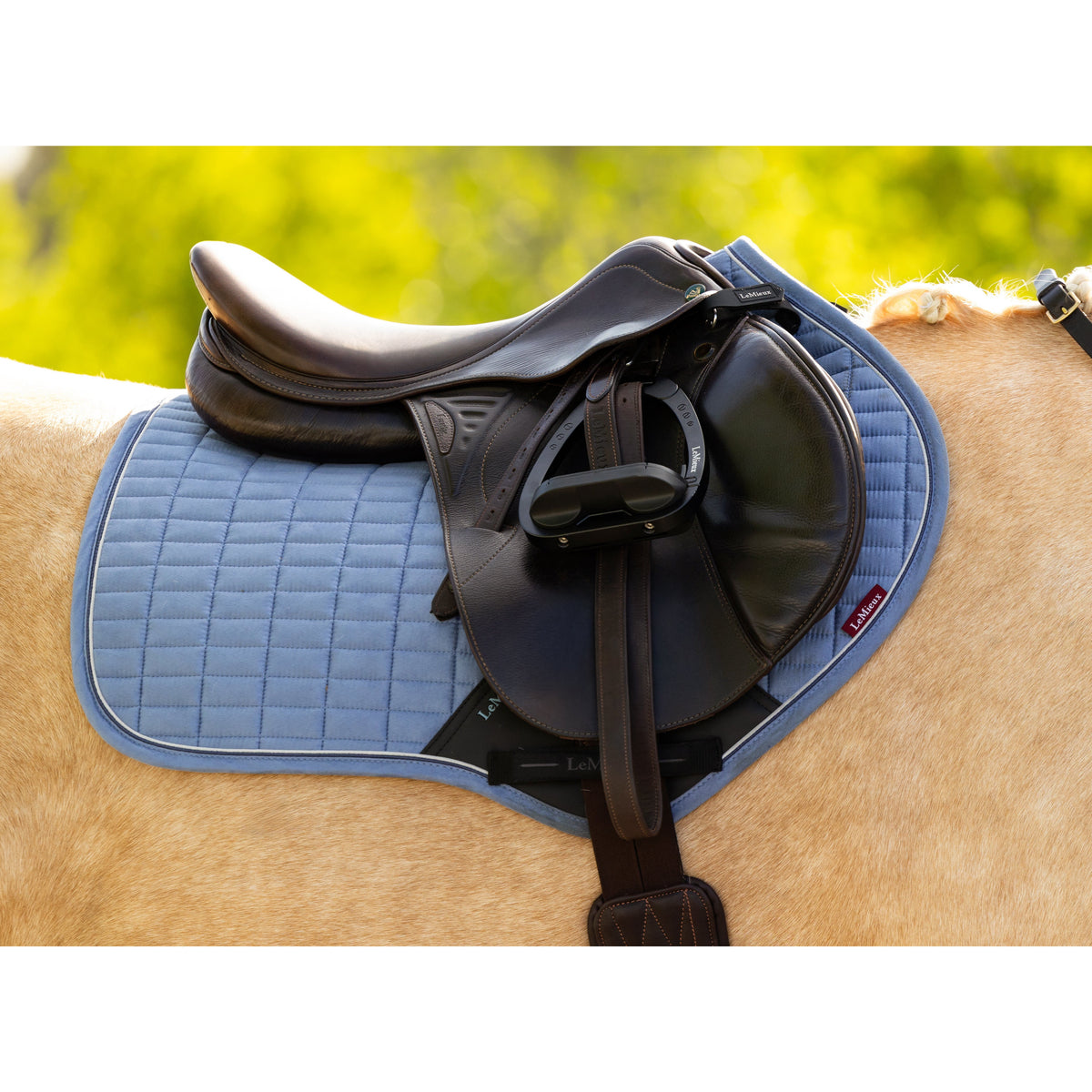 LeMieux Suede Schabracke Powder Blue SS26 – IQ Horse