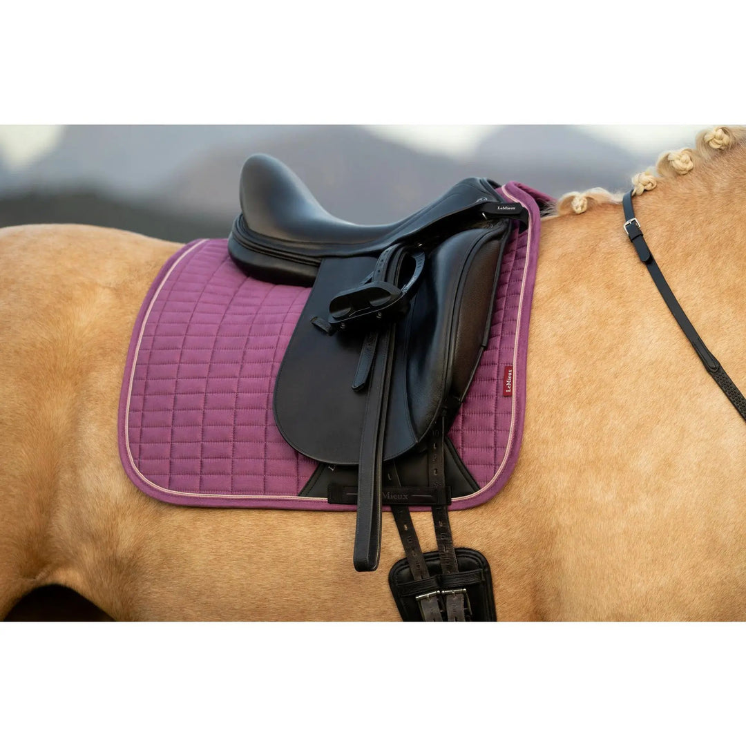 LeMieux Suede Dressurschabracke – Bambusfutter - IQ Horse