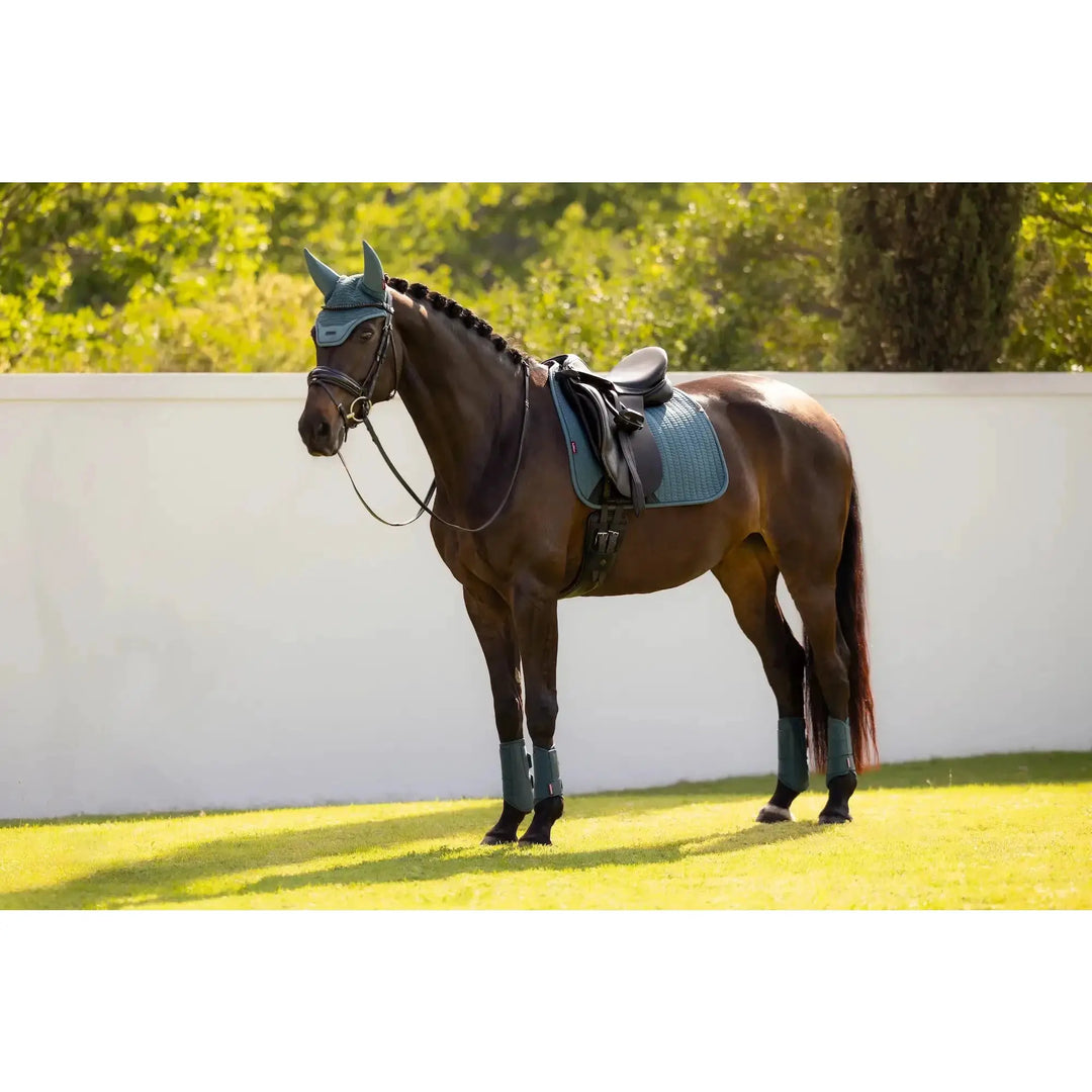 LeMieux Essence Dressurschabracke Fondant saddle pad in teal on horse.