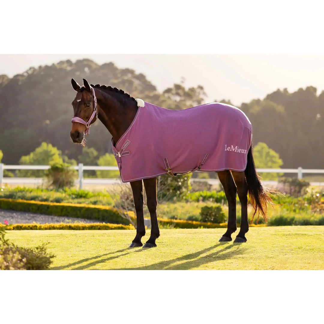 LeMieux Kudos Bambus-Cooler Abschwitzdecke on a horse, purple color with LeMieux logo