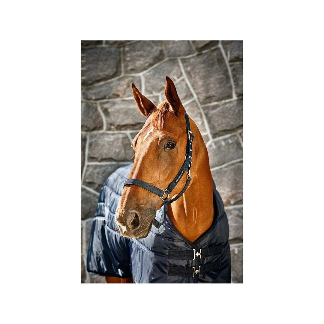 Kingsland Top Notch Nylon Halfter - IQ Horse