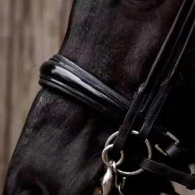 Kandare CLASSIC - IQ Horse