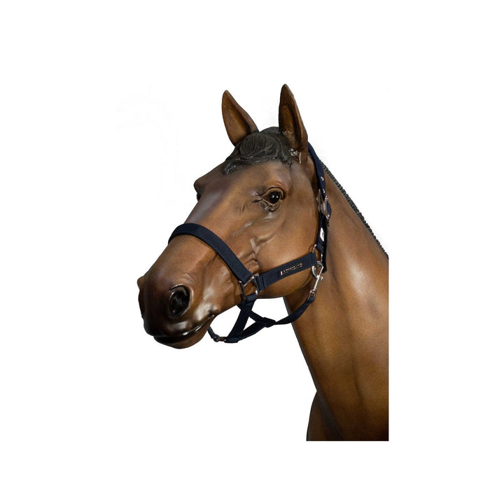Kingsland Top Notch Nylon Halfter - IQ Horse