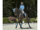 LeMieux Dressurschabracke "Loire klassisch Satin", Ice Blue - IQ Horse