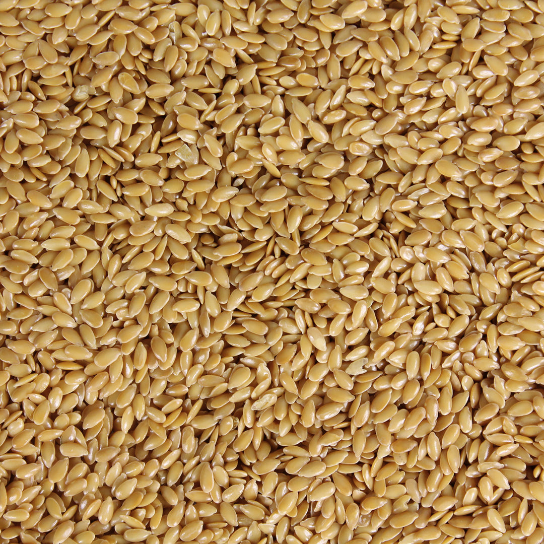 Leinsamen Leinsaat gold – ganz