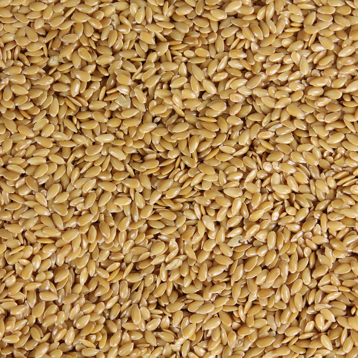 Leinsamen Leinsaat gold – ganz