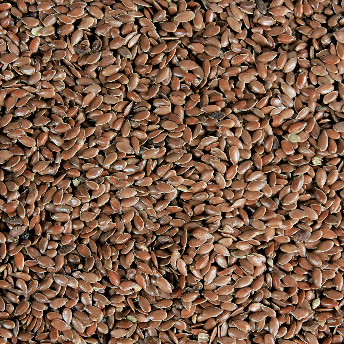 Leinsamen Leinsaat braun – ganz