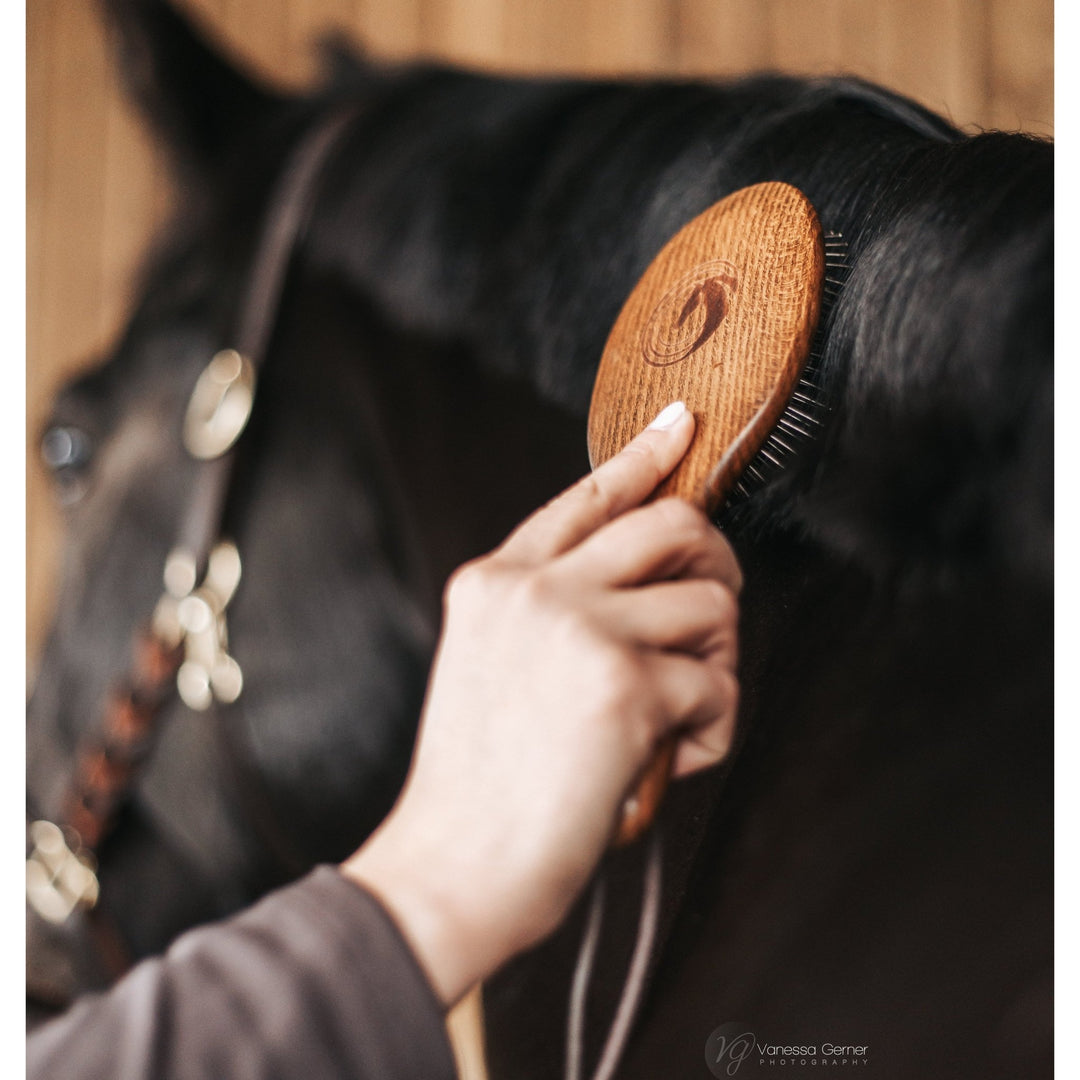 Equimour Mähnenbürste VIDI - IQ Horse