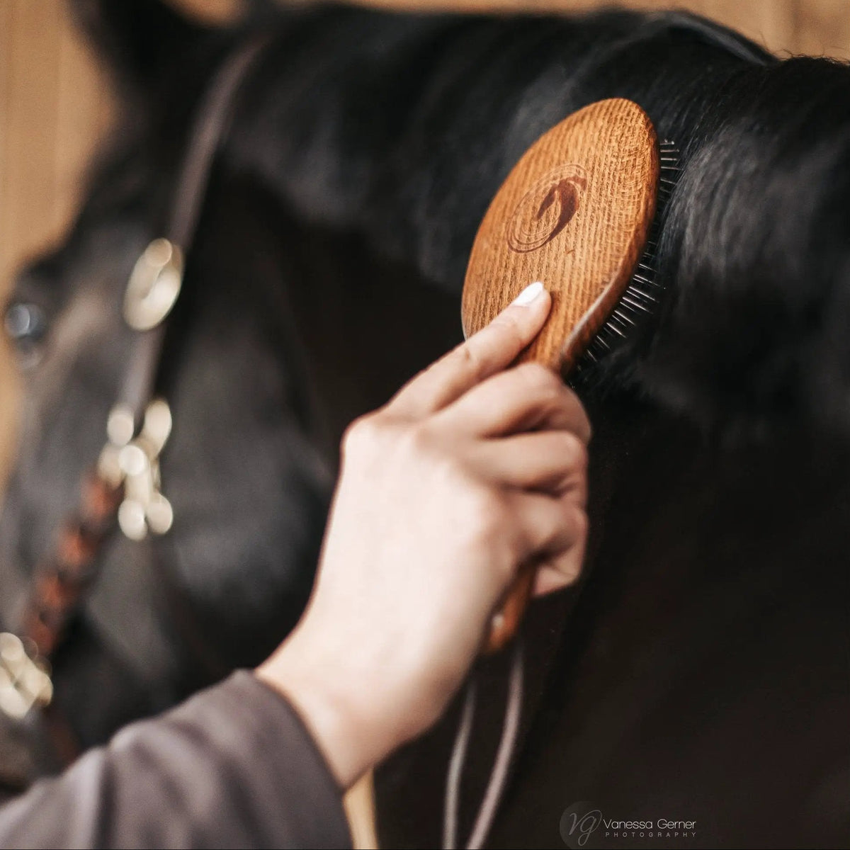 Equimour Mähnenbürste VIDI - IQ Horse