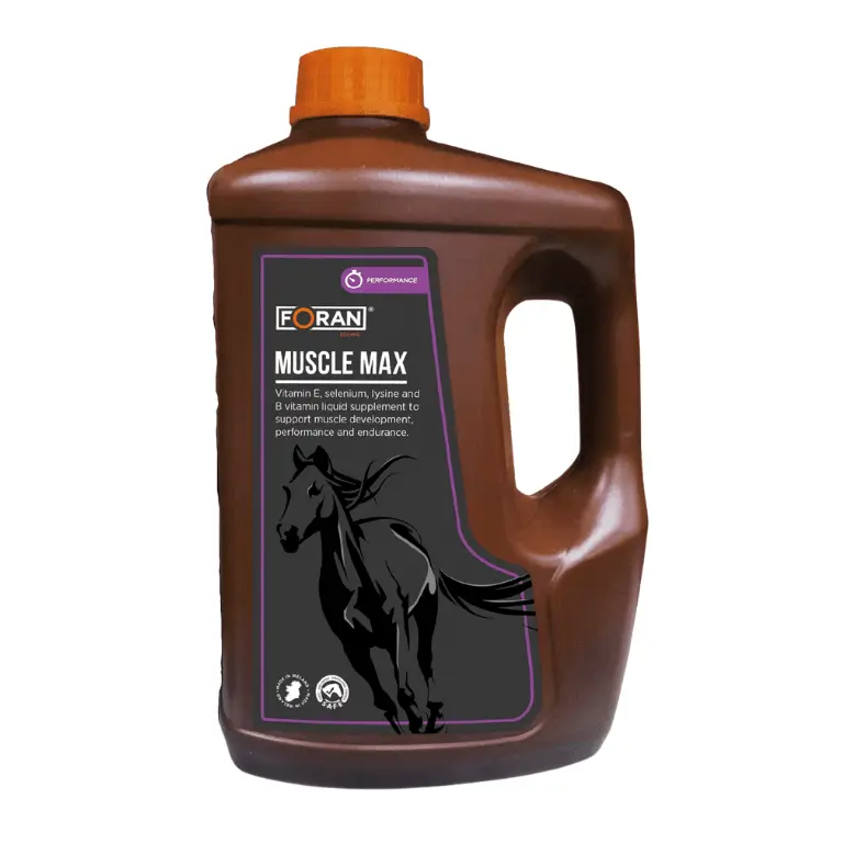 FORAN MUSCLE - MAX - IQ Horse
