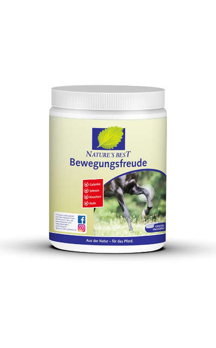 Bewegungsfreude – mit MSM, 600 g