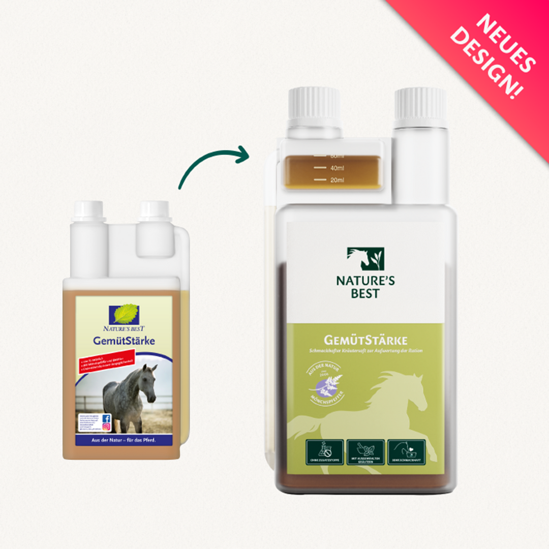 GemütStärke – Kräutersaft, 1 l