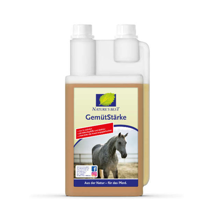 GemütStärke – Kräutersaft, 1 l