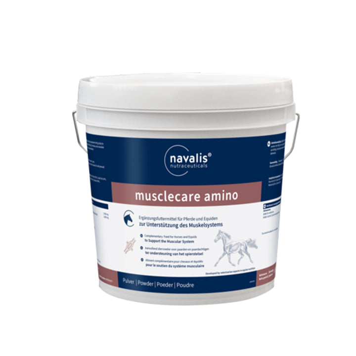 Ergänzungsfutter musclecare amino horse – Aminosäuren