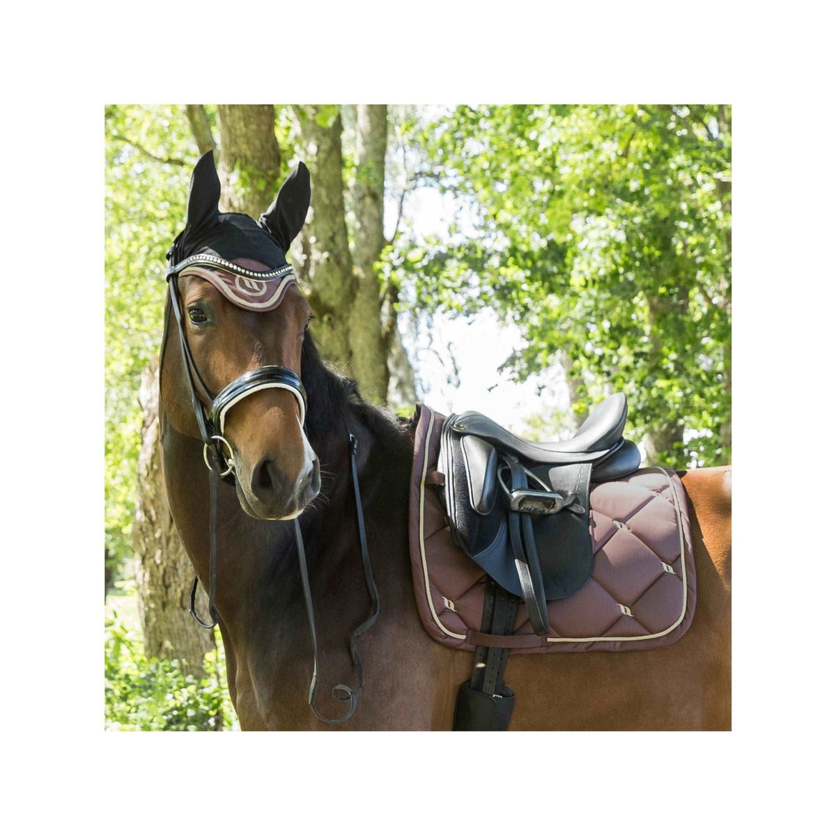 Back on Track Nights Collection Fliegenhaube, Coffee - IQ Horse